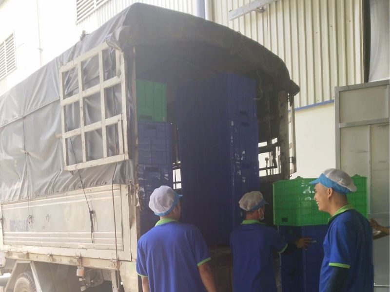 Tại Sao Nên Chọn Chành Xe Đi Ninh Thuận